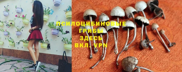 дмт Белоозёрский