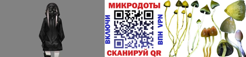 Псилоцибиновые грибы мухоморы  KRAKEN ссылка  Белая Холуница 
